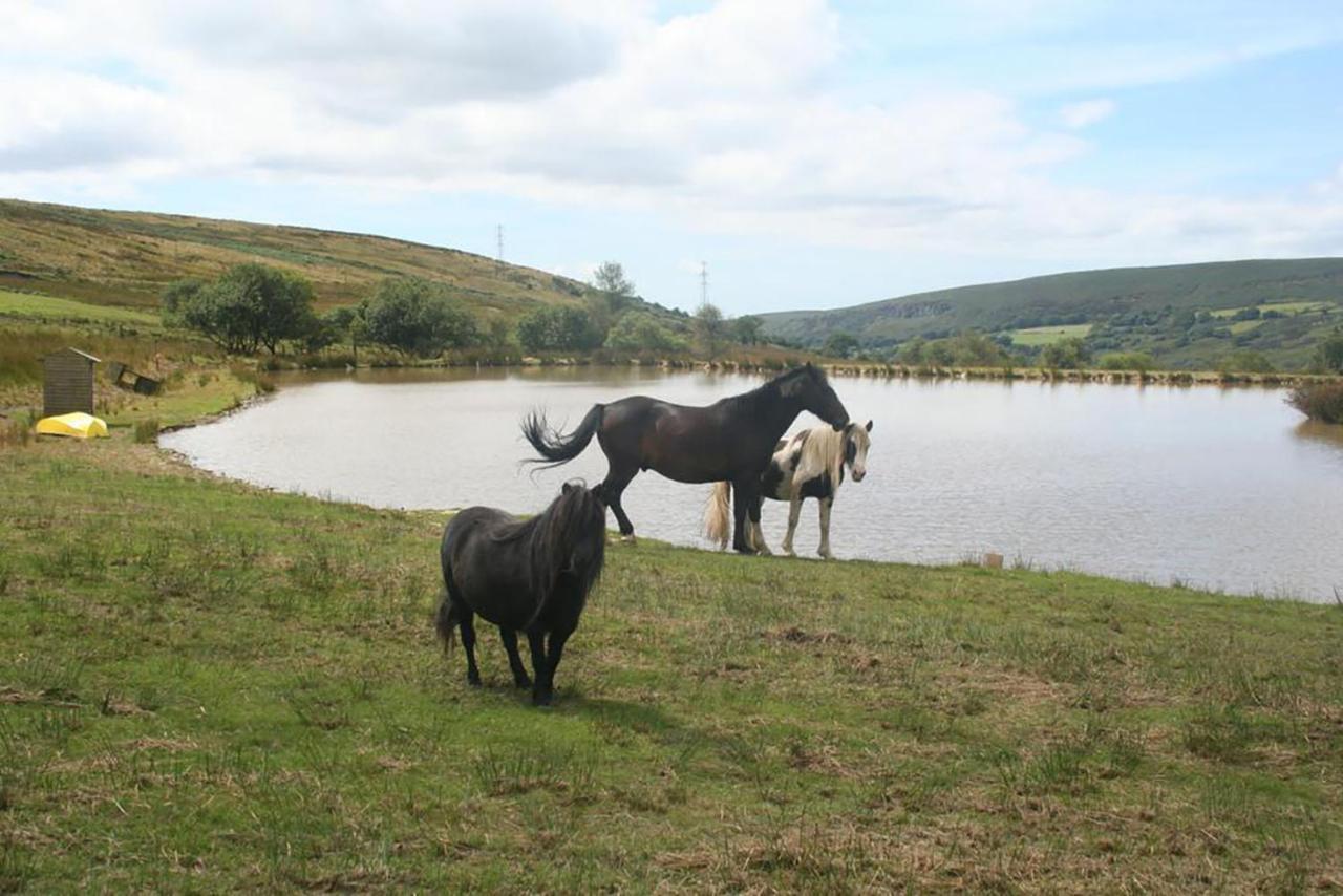 Lodge Barn - Farm Park With Hot Tub *