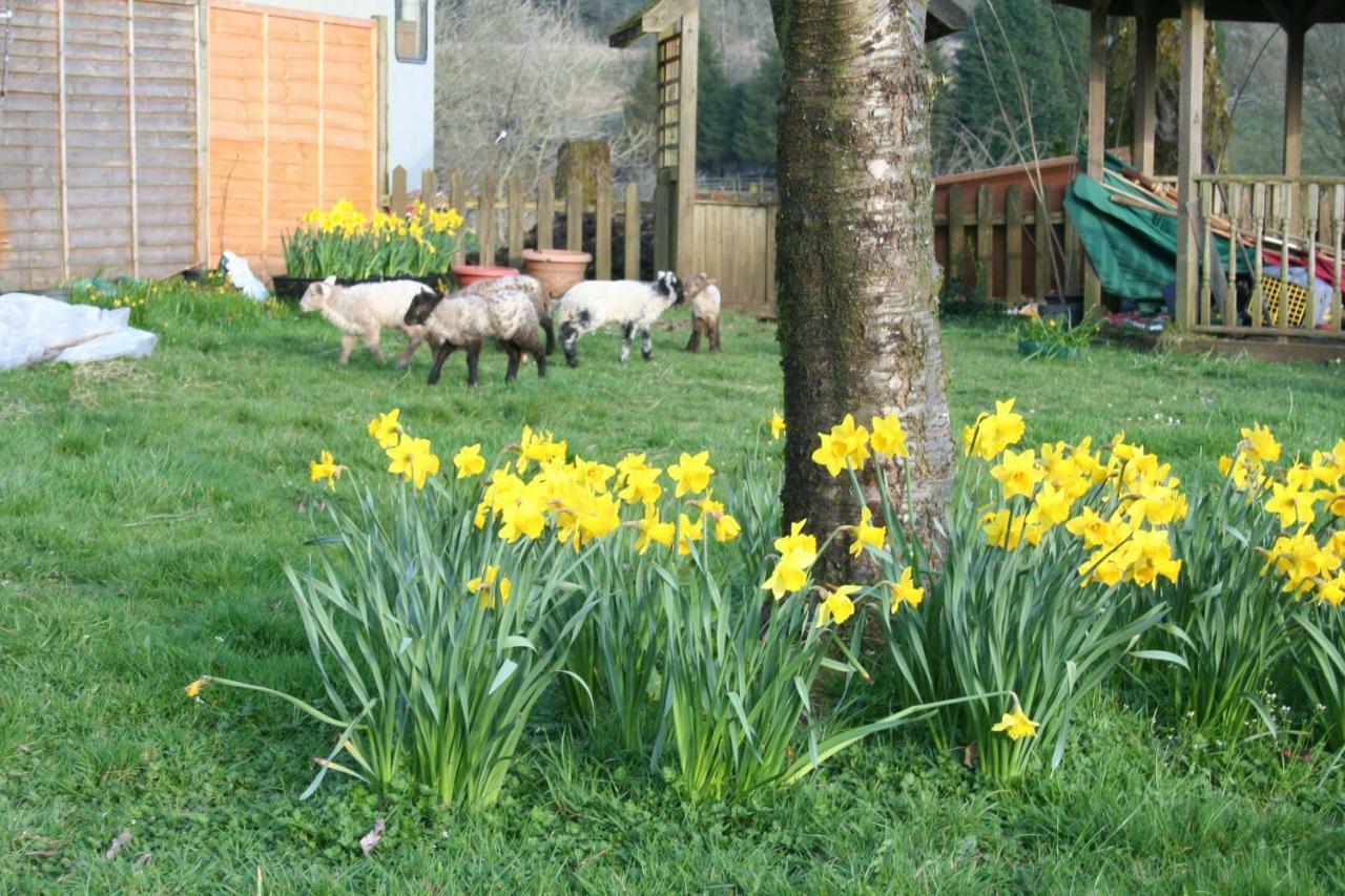 Barn - Farm Park With Hot Tub * Swansea
